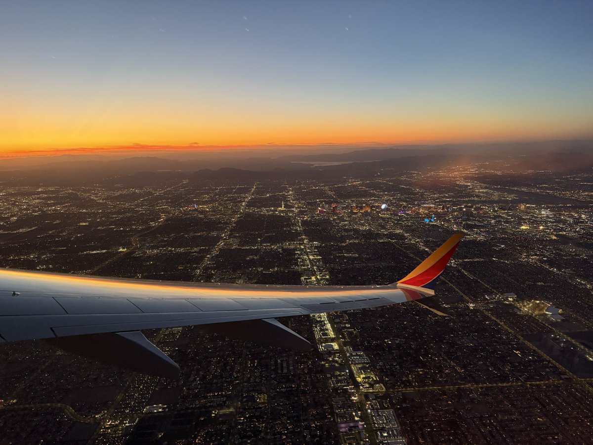 Chip 🦦 tweet media