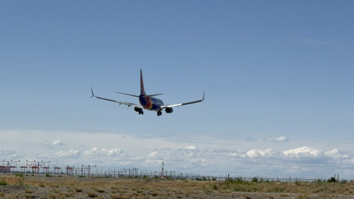 Chip 🦦 tweet media