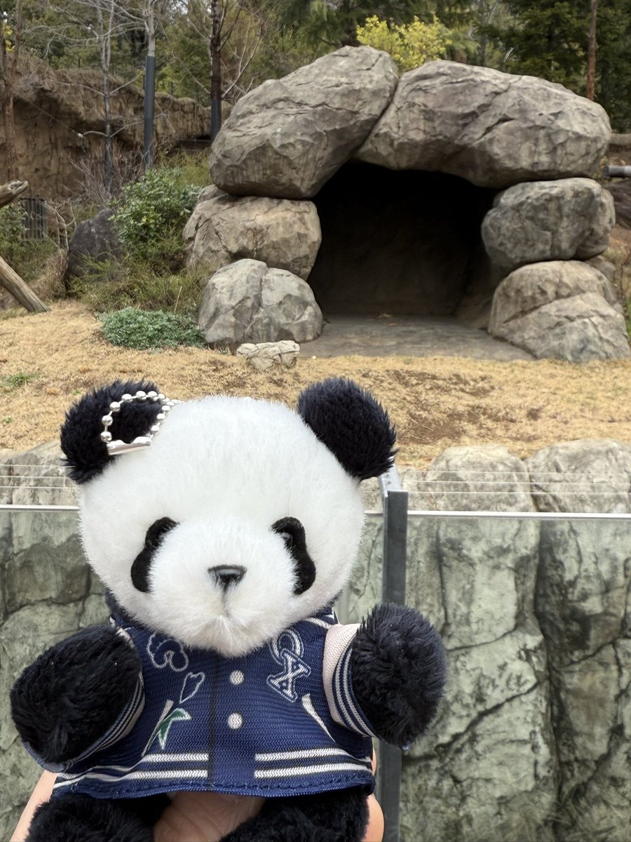 🍣🐼めーパンダ🐼🍣 (@kicyupanda0306) / Posts / X