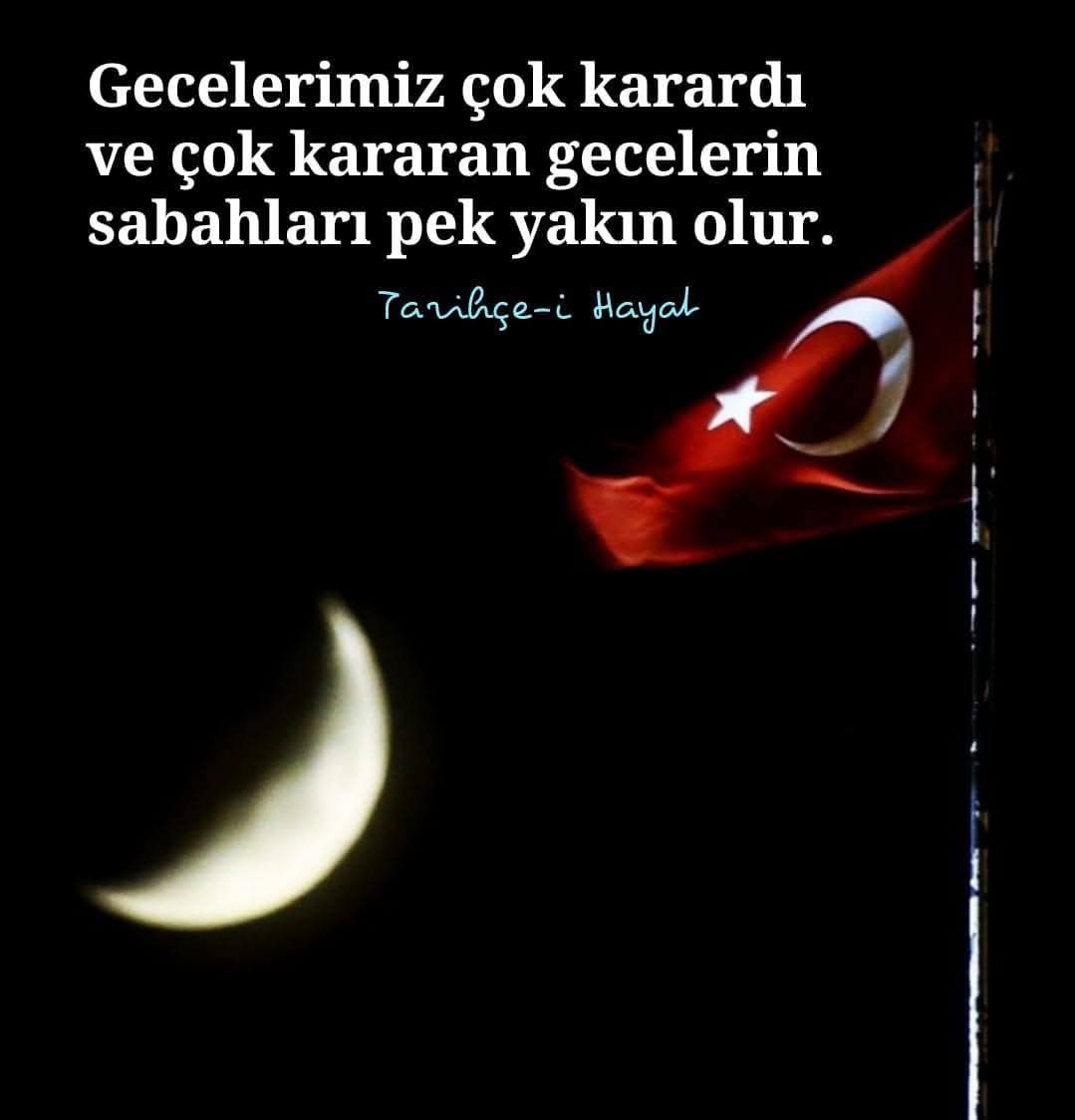 Lütfi Şaşmaz🦅 (@sasmaz_lutfi) on Twitter photo 