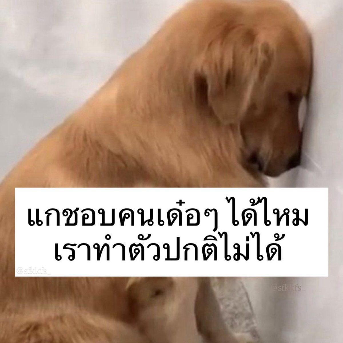 ถือว่าขอเถอะ 5555555555555555