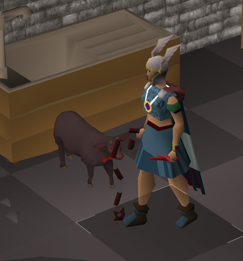 first osrs pet ever :) 860kc