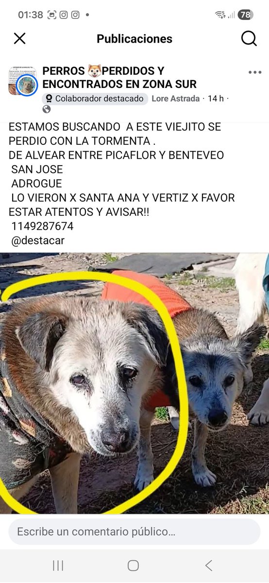 Maria Ines (@mariain77662119) on Twitter photo 