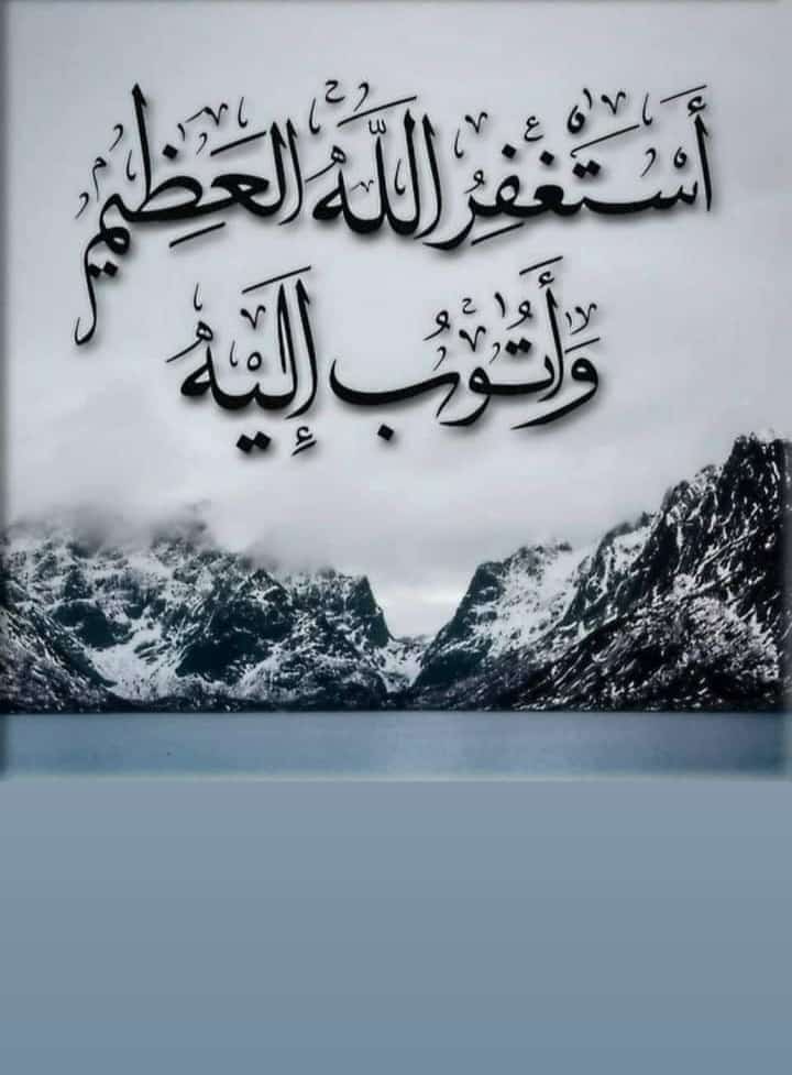Shahid Raجput(♿ڈس ایبل) tweet media