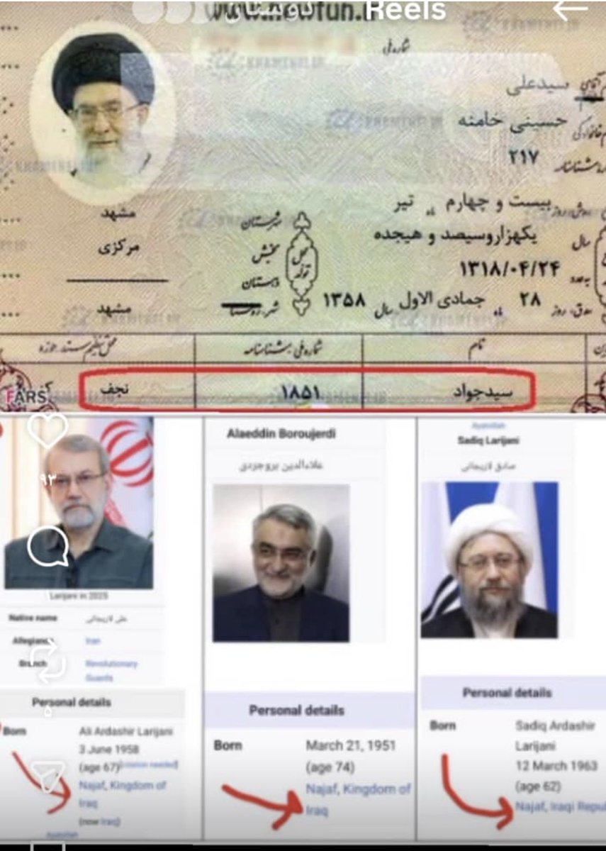 همه تُخم تازی وحشی …