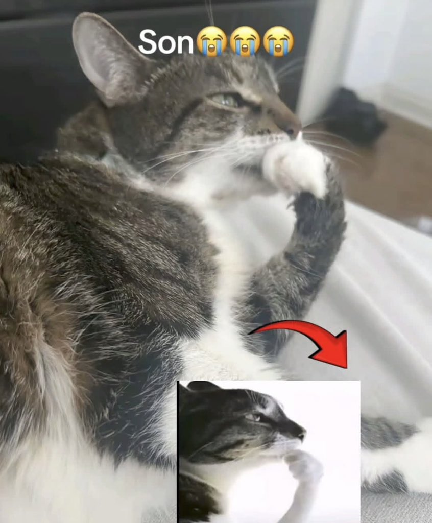 mor (@moristiko) on Twitter photo 