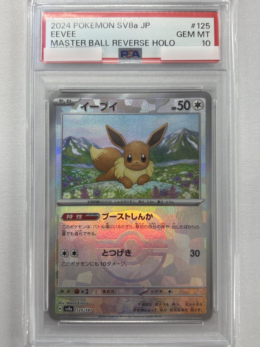 福福トレカ #ポケモンカード 通販店》 ✨ポイント還元でお得にお買い物