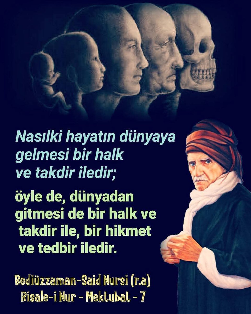 Lütfi Şaşmaz🦅 (@sasmaz_lutfi) on Twitter photo 