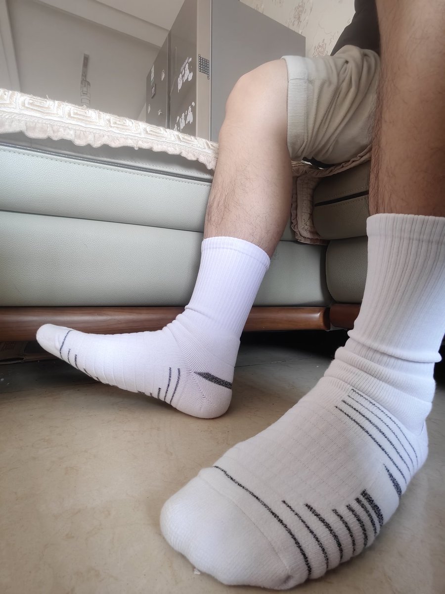 大篱笆（新都版） tweet media