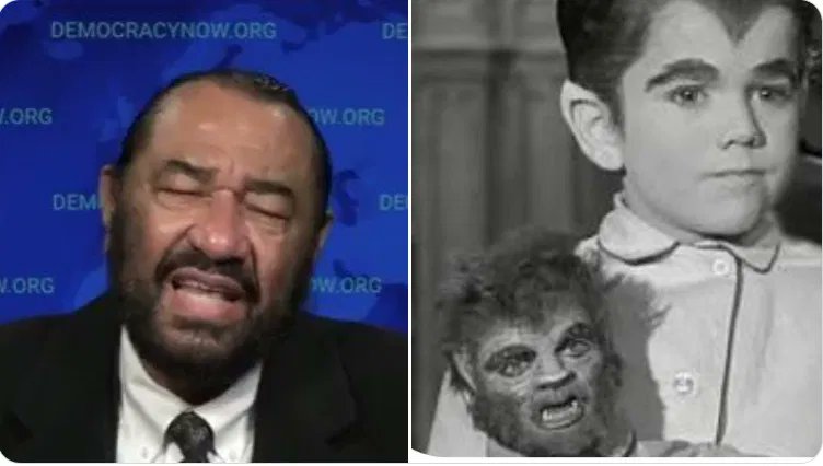 🇺🇲 FJHalle 🇺🇲 tweet media