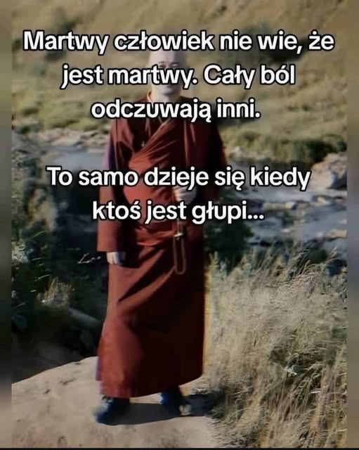 Zbigniew Nadratowski (PaNZeT)🦋🦋🦋🦋🦋 🦋🦋🦋 (@zpanzet) on Twitter photo 