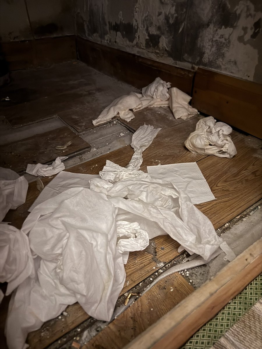 宝藏直男 tweet media