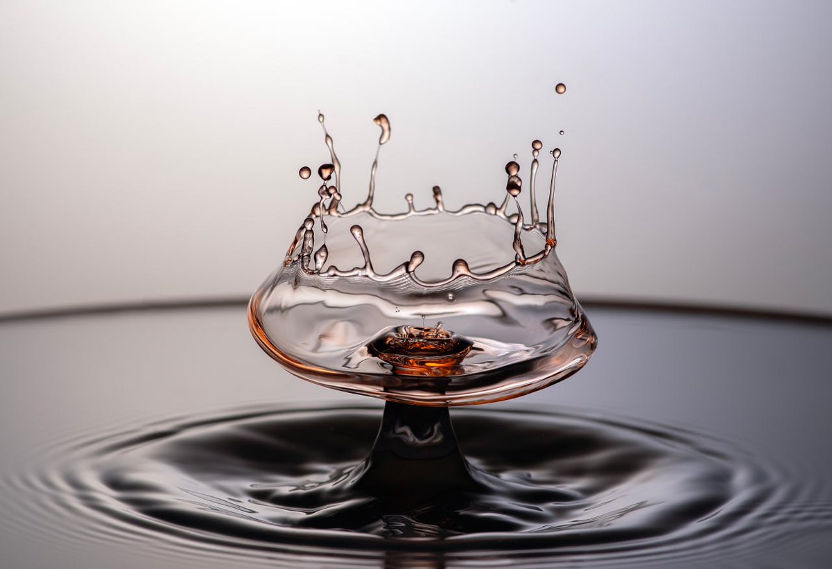 𝑴𝒂𝒚𝒖𝒅𝒓𝒐𝒑𝒔 tweet media