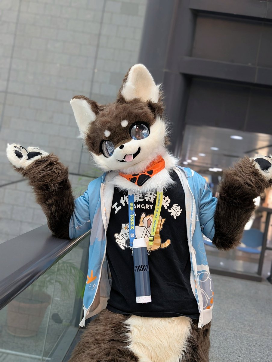 LittleWolf0221's tweet photo. 「你問我有沒有AD？那個是什麼我怎麼知道？」

#FursuitEveryday #fursuit https://t.co/R8MZZdm5MV