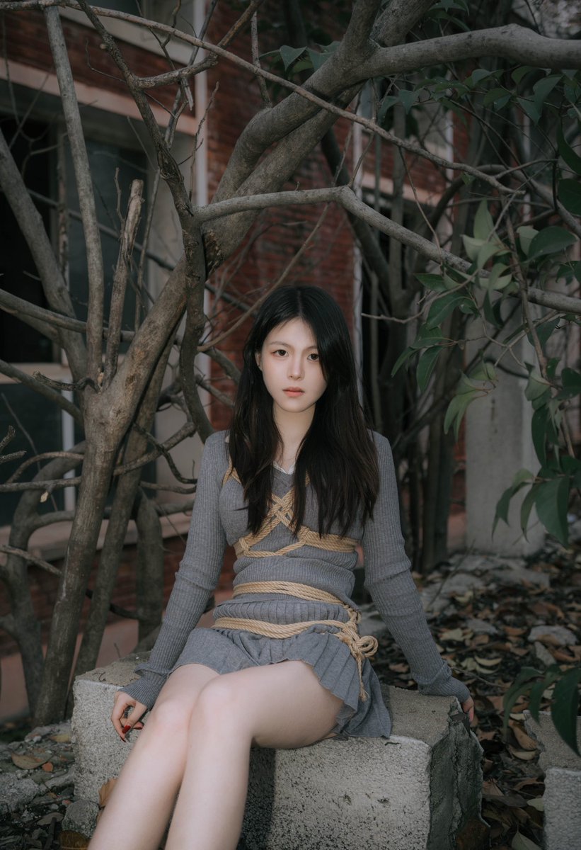 小木头 tweet media