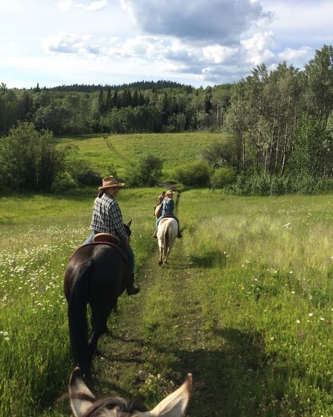 MHGuestRanch's tweet photo. Spring blooms and 100+ miles of trails await! Unwind each evening in a Private Cabin with a hot tub.  #SpringTrails #PrivateCabinWithHotTub https://t.co/omZ1fsoDbm 250.593.9807 https://t.co/tYx1zaBTRm