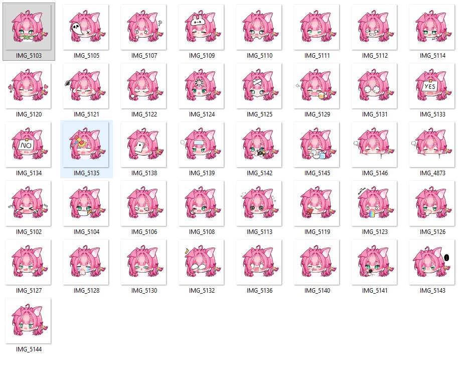 🐽 Pyork tweet media