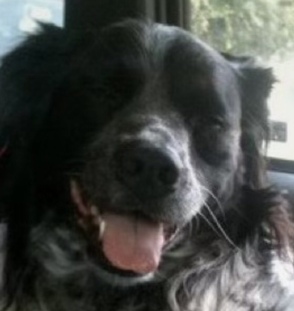 Shelby Exchange tweet media