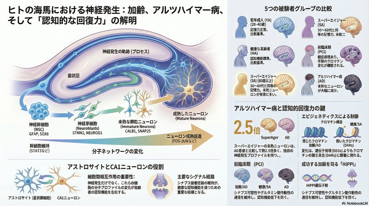 thmonk_pf's tweet photo. Alzheimer病と加齢に於る成人脳の神経新生

chromatine accecibility(遺伝子情報の読み取り易さ)の変化がADに於る神経新生の衰退、逆に百寿者に見られる認知resilienceを決定づける重要な要因である

OA

#Alzheimers 
#neurogenesis 
#papers 
https://t.co/CoihUzrlxk https://t.co/SHYnnLGLj6
