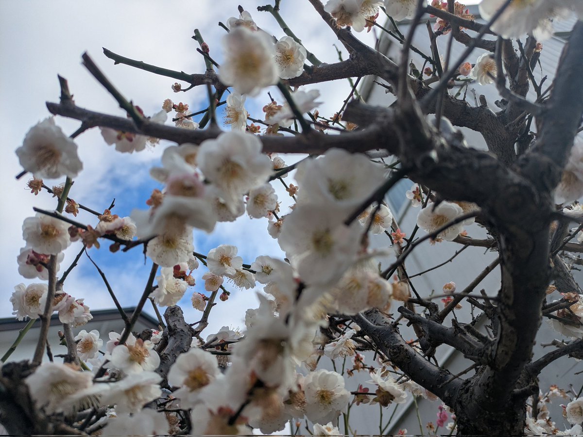 masa (@strike_masa) / Posts / X