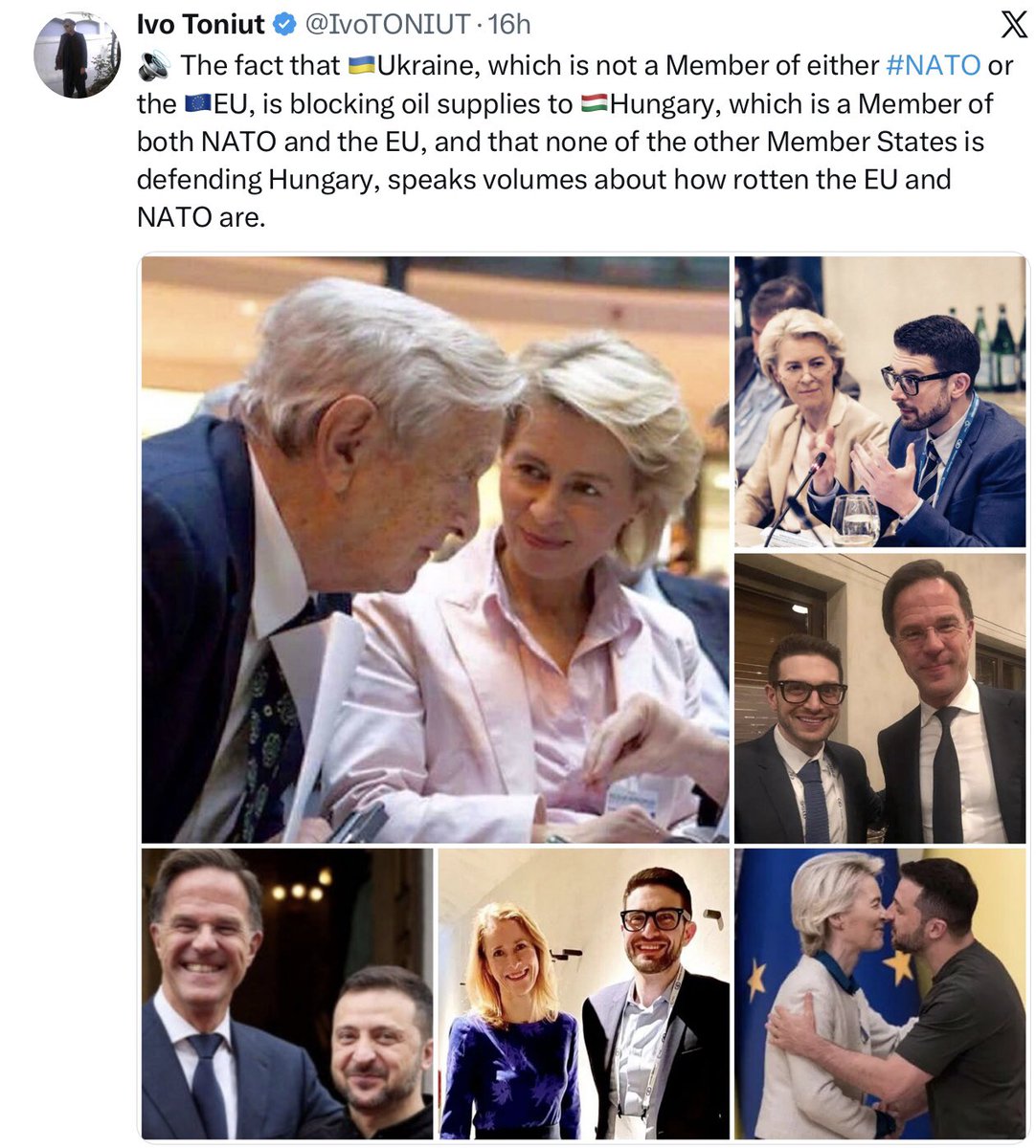 Die Tatsache, daß die Ukraine, die weder Mitglied der NATO noch der EU ist, die Öllieferungen an Ungarn blockiert, das Mitglied sowohl der NATO als auch der EU ist, und da keiner der anderen Mitgliedstaaten Ungarn verteidigt oder gar wie Wadephul es als Verräter verunglimpft,