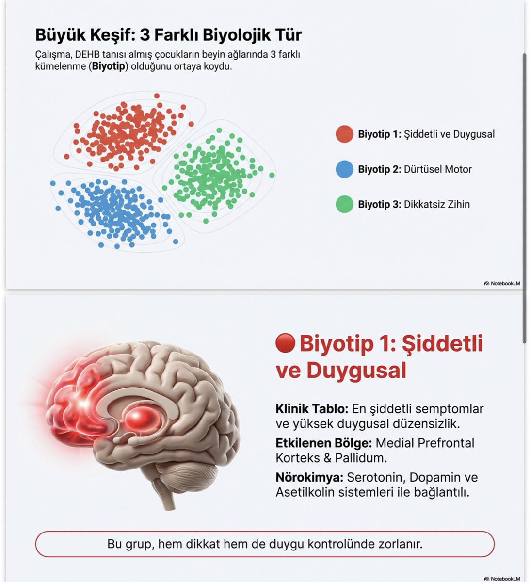 Alişan Burak Yaşar tweet media