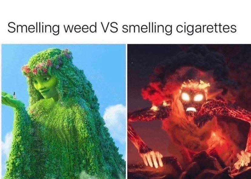 _StonersRUs_'s tweet photo. Weed > cigarettes 💯💯 https://t.co/R9QmL0pglT