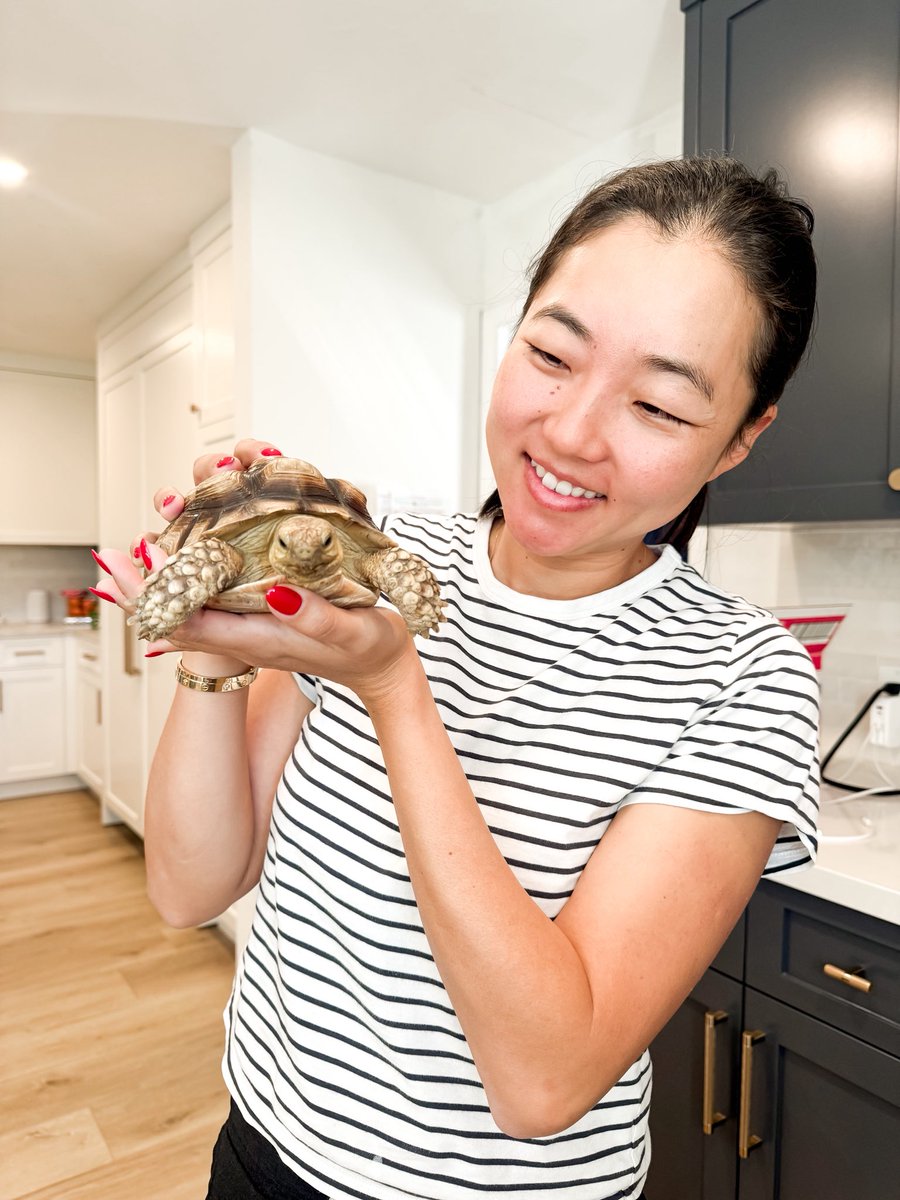 Hi The Unexpected Runner community,

I’m Leo’s owner, and I truly appreciate that many of you tried to support her rebuild. Honestly so thankful for that! 
I was hesitant to accept because I have very little knowledge about crypto. And still have noooo clue! And I truly thought I