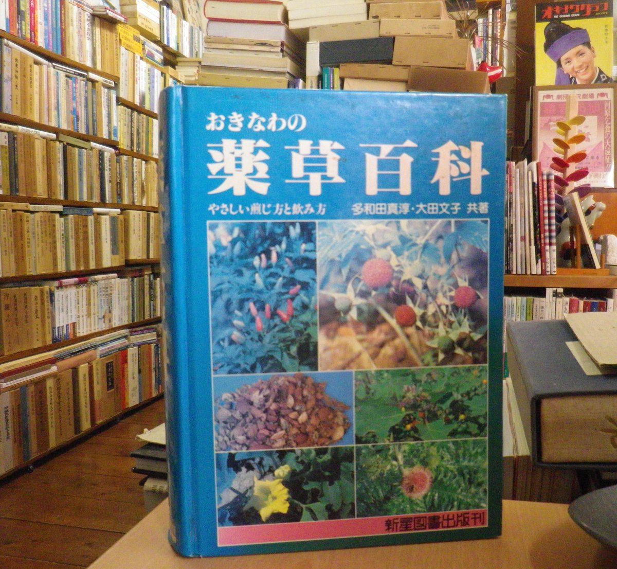 おきなわの薬草百科