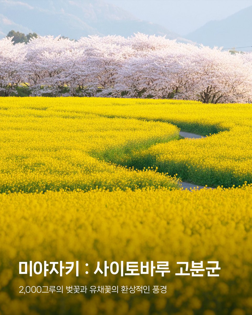 아시아나항공 AsianaAirlines tweet media