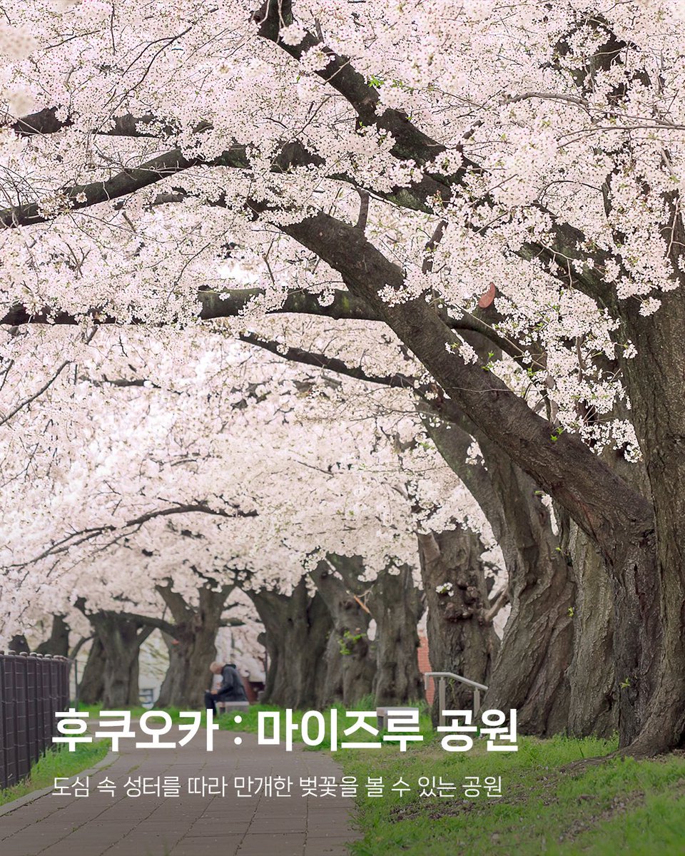 아시아나항공 AsianaAirlines tweet media