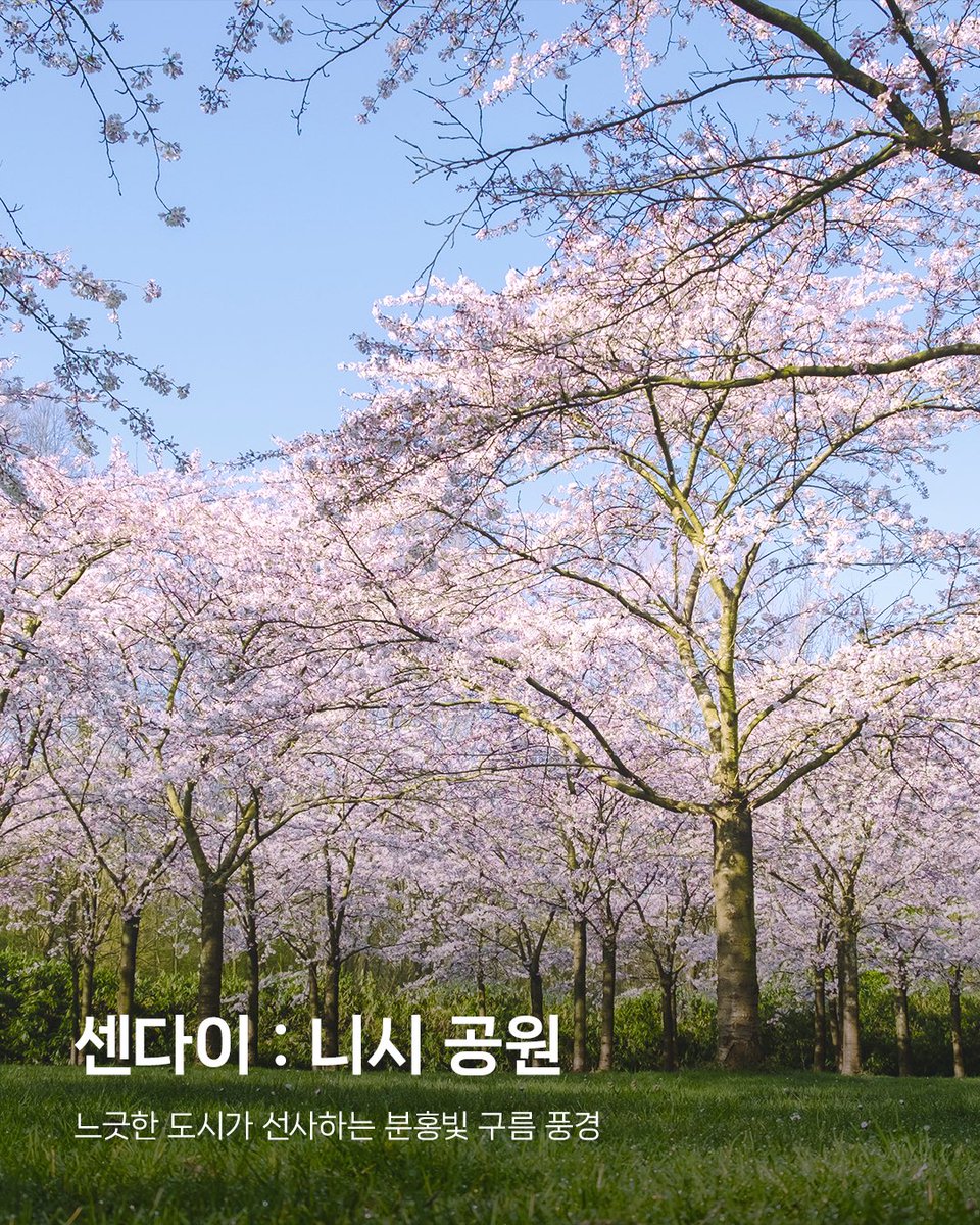 아시아나항공 AsianaAirlines tweet media