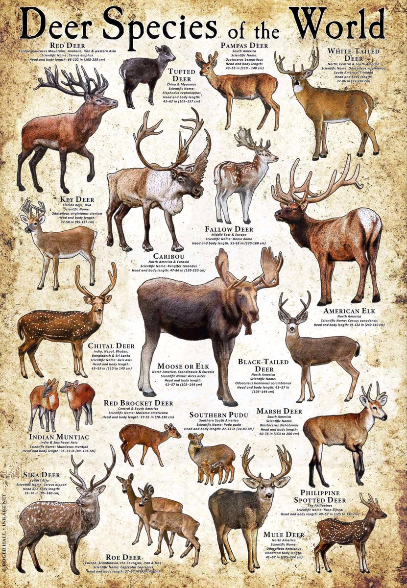 John Schultz tweet media