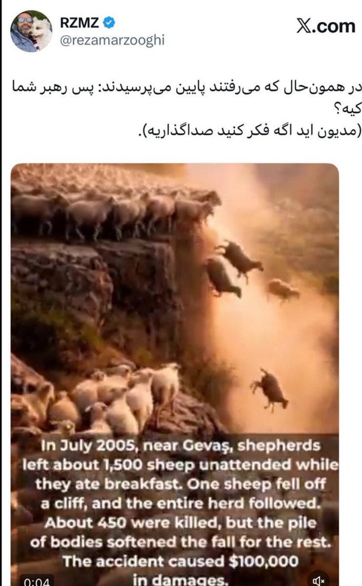 ویرجینیا وولف مناطق محروم tweet media