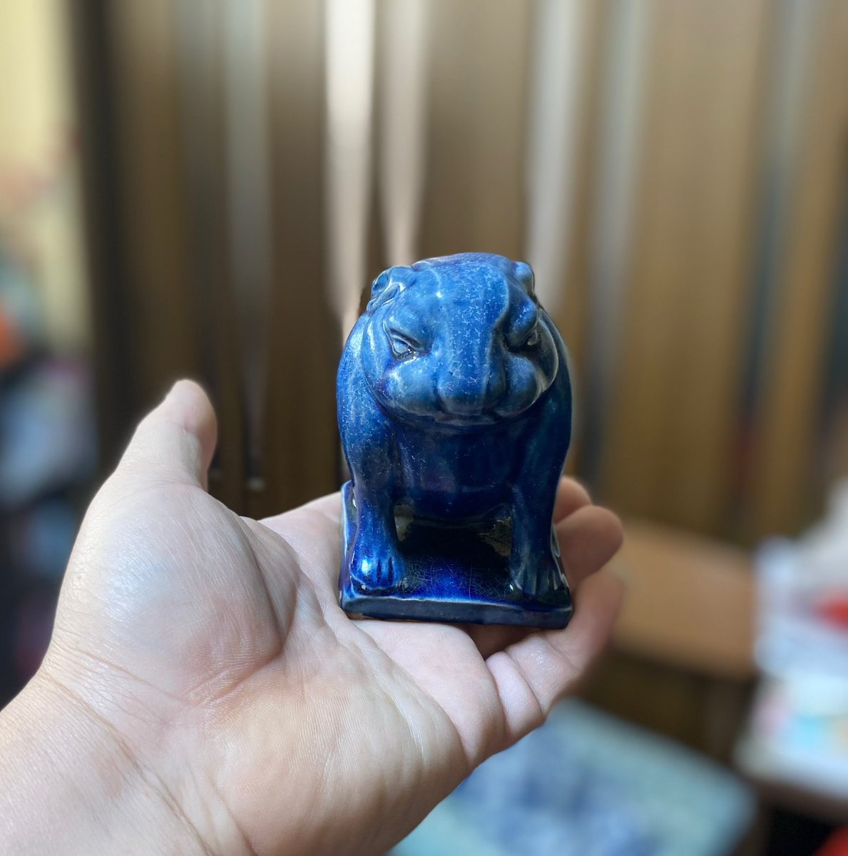 ようこそ ウサギちゃん