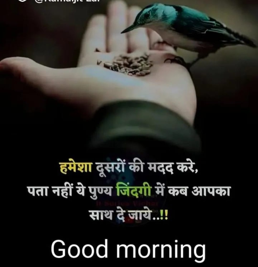 SHAILENDRA3802's tweet photo. Good Morning 🙏🙏
शुभ प्रभात🙏🙏 https://t.co/idaiynWKUd