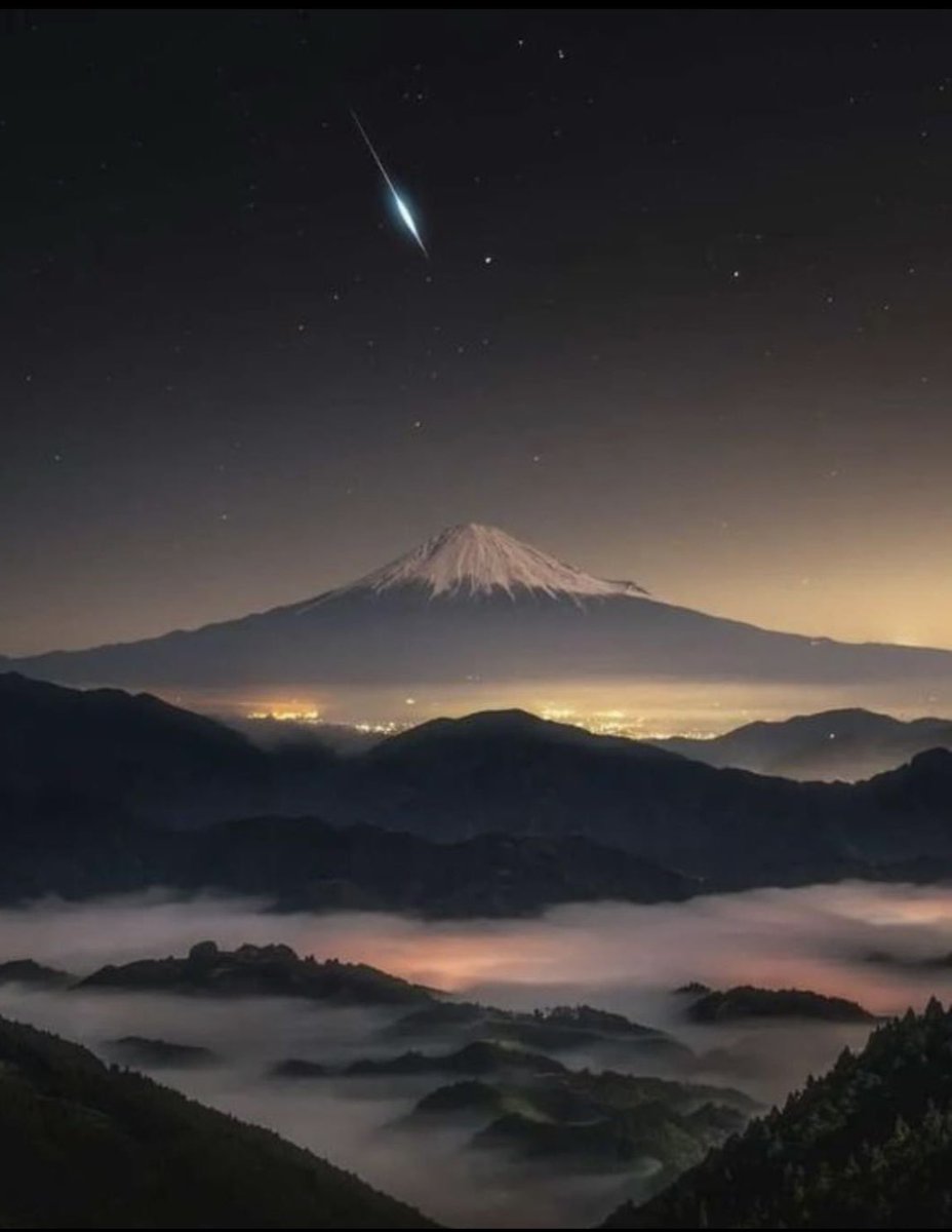 Trump GESARA-NESARA Global 🇺🇲 tweet media