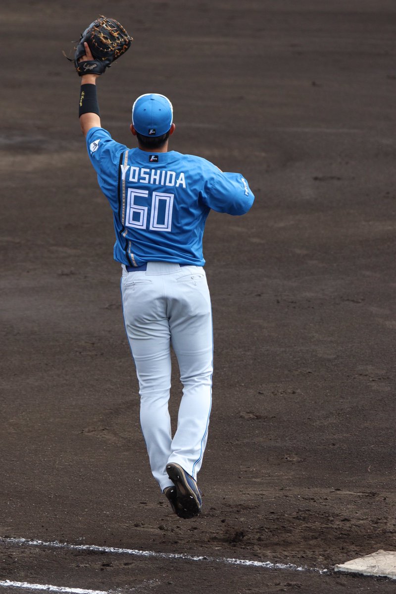 Post by chi🦊 on X: ﾋﾟｮﾝ