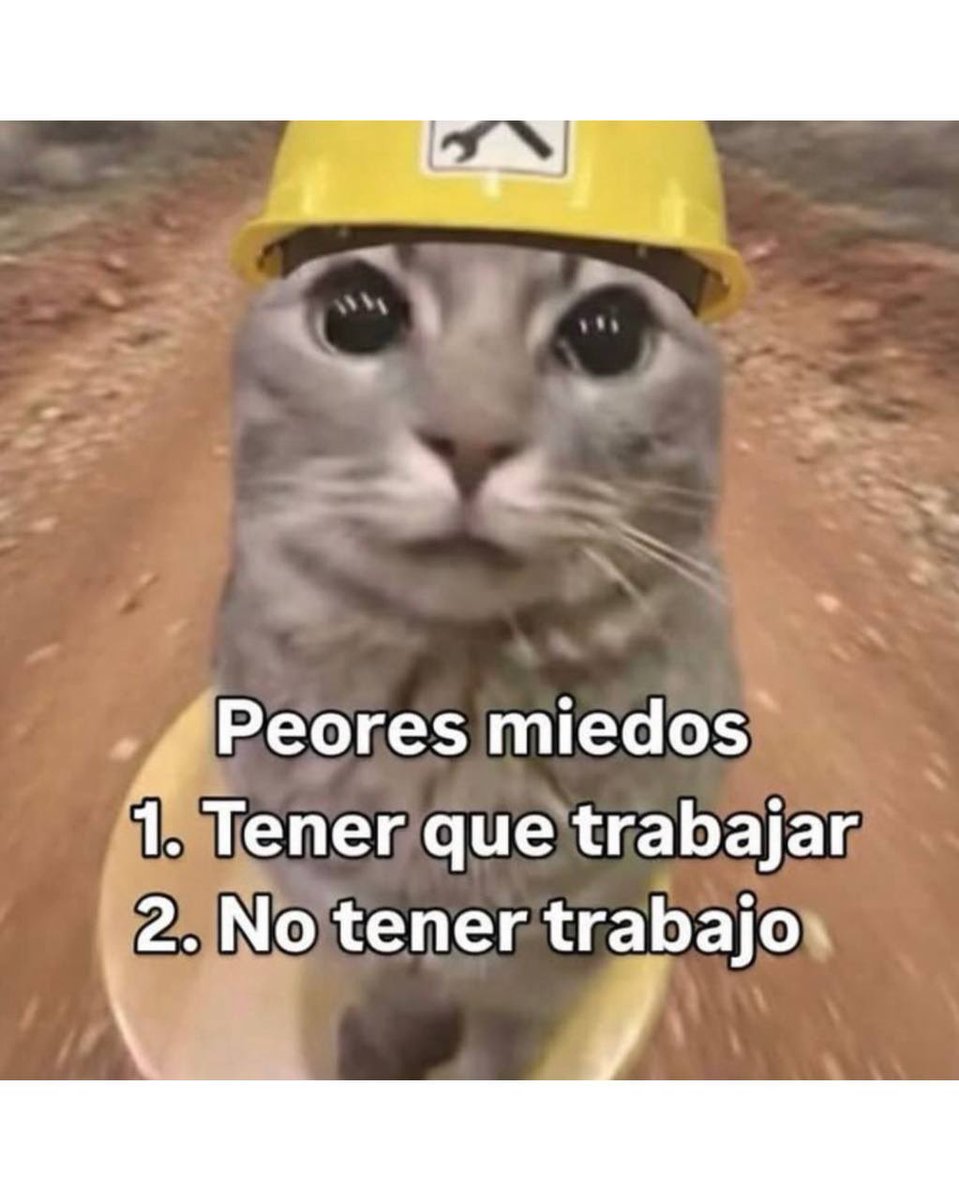 jezucrihto xd tweet media