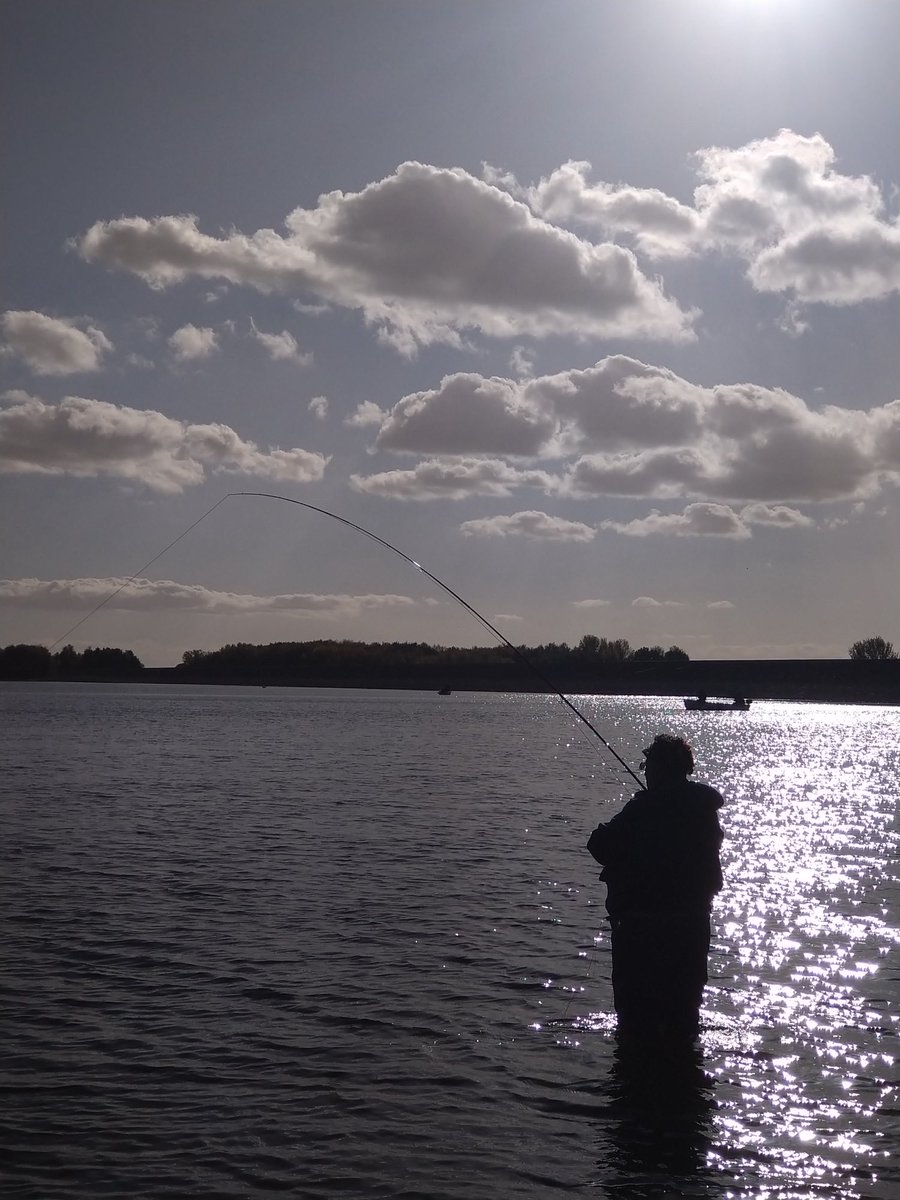 andyflyfisher's tweet image. The trout flyfishing season starts on many stillwaters next week, tightlines to all participants 
📸 Andy Miller
#flyfishing #trout #fishing