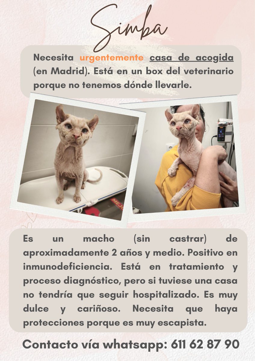 Ayuda a animales tweet media