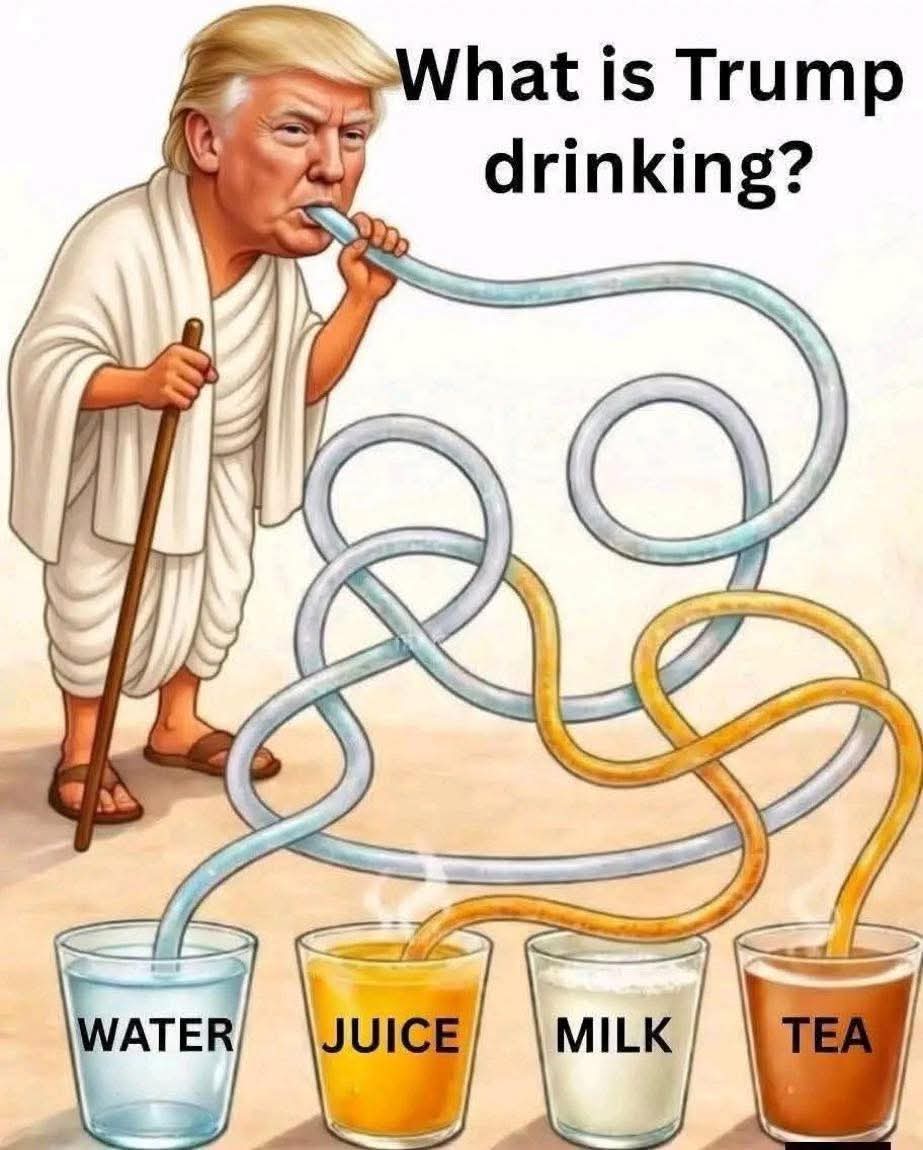 RedPilledNurse tweet media