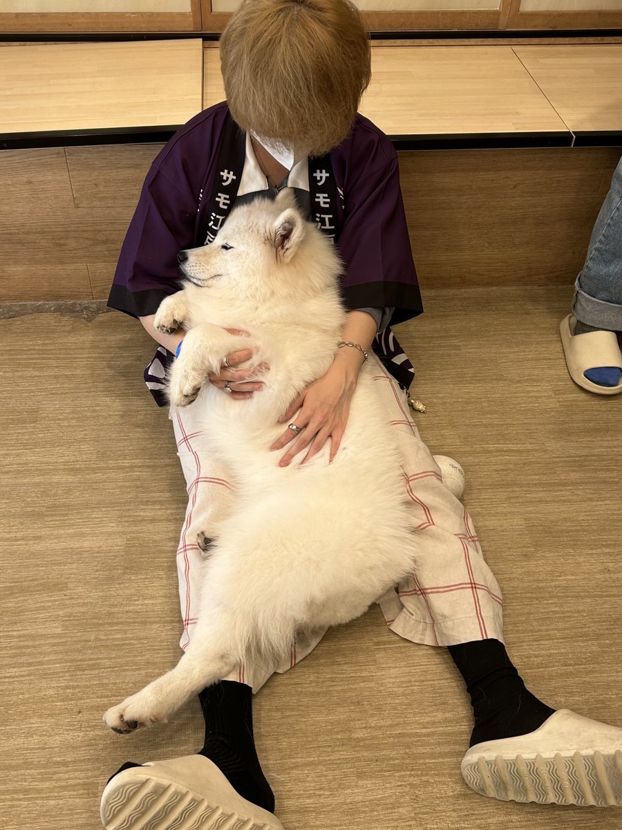 もちもちもっちゃん (@motimoti_seizin) / Posts / X