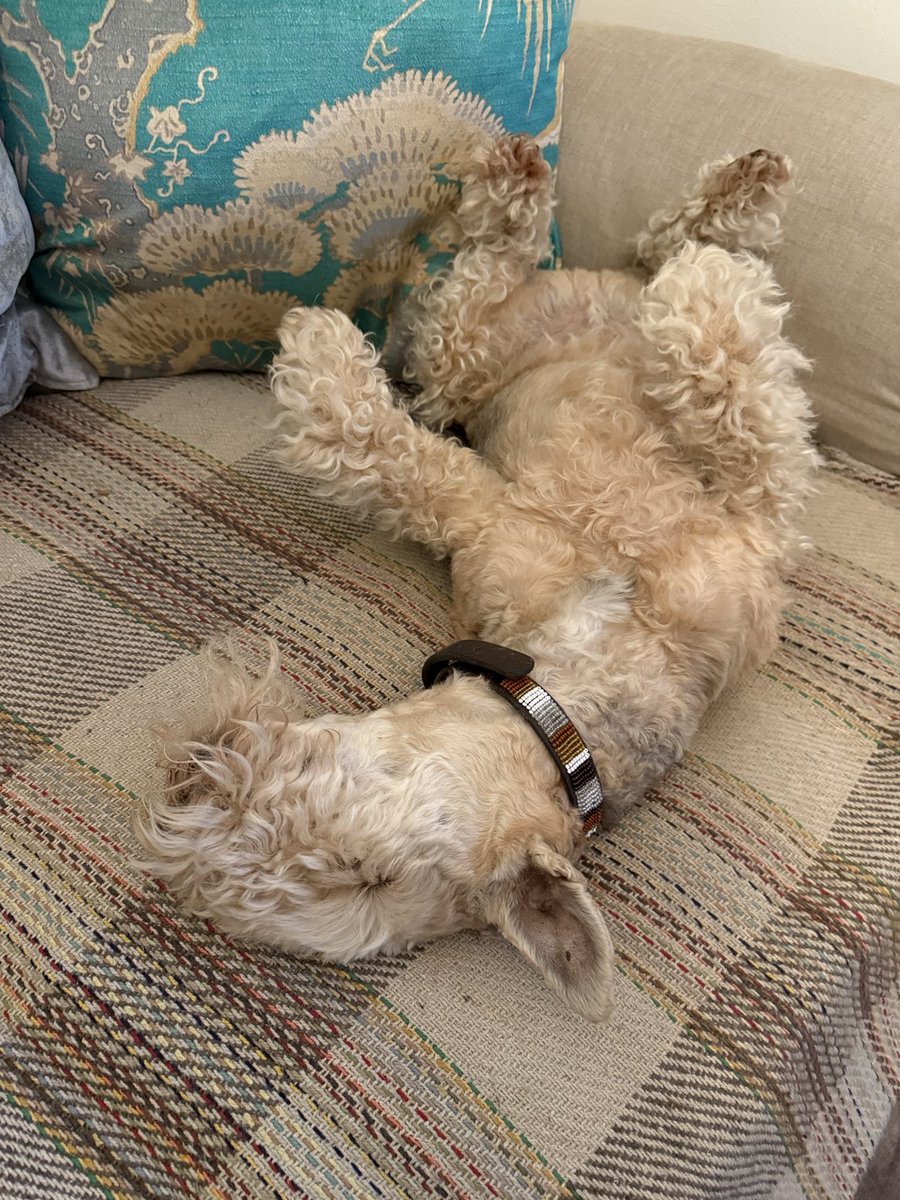 Some days you don’t want to get up ❤️❤️