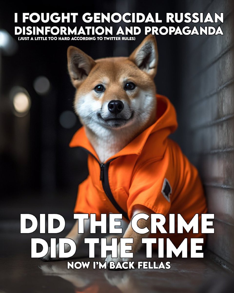 prchilly Fella tweet media