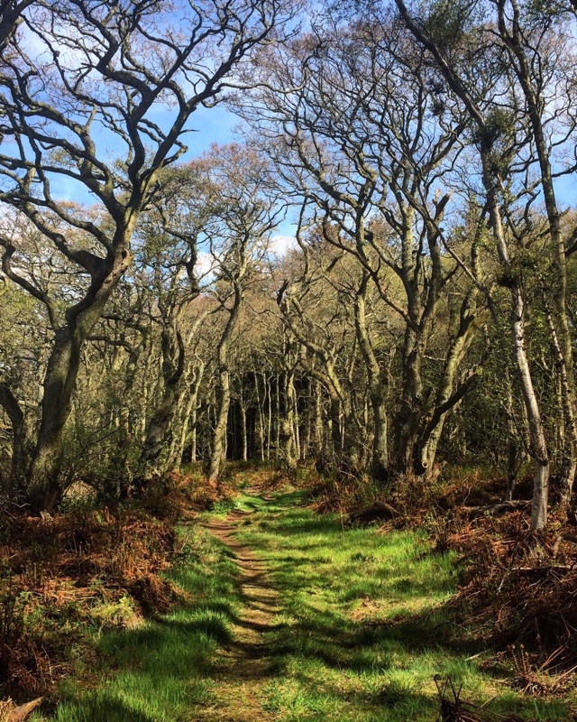 AilishSinclair's tweet image. Only sound: bird song. #DailyPictureTheme #peaceful