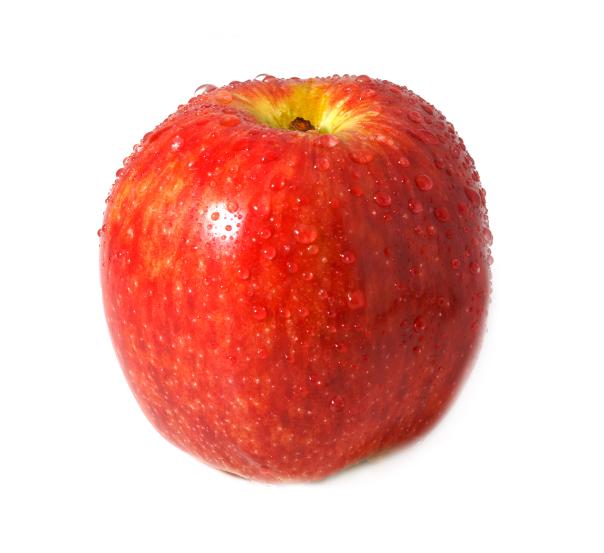 Public Sector Catering tweet media