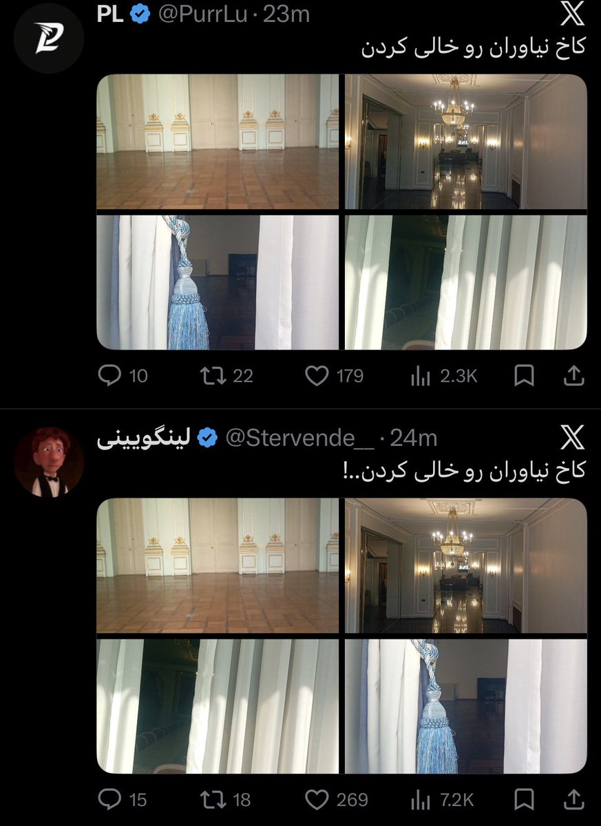 علیزکا 🇮🇷 Alizka tweet media