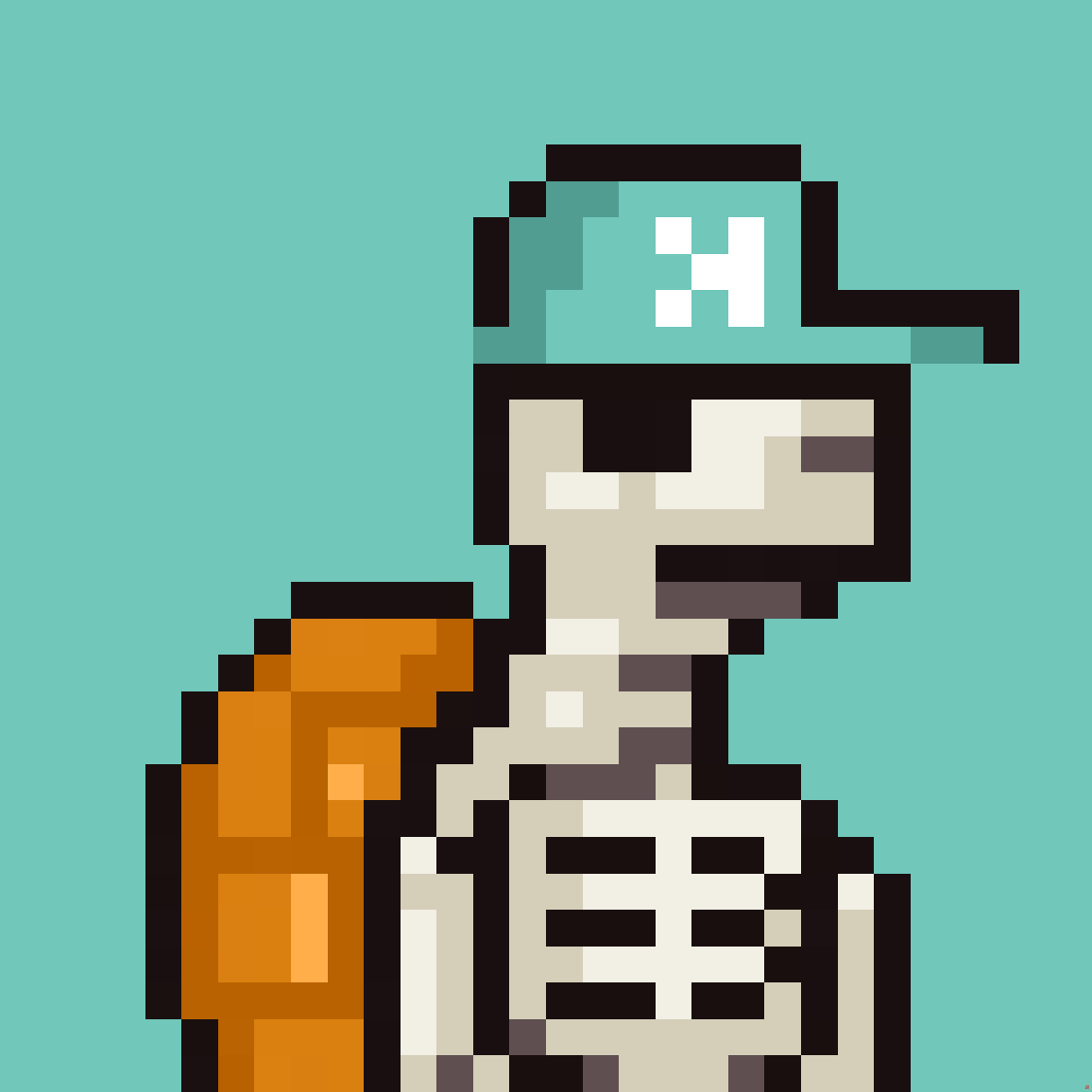 Bitcoin the Turtle NFT Collection tweet media