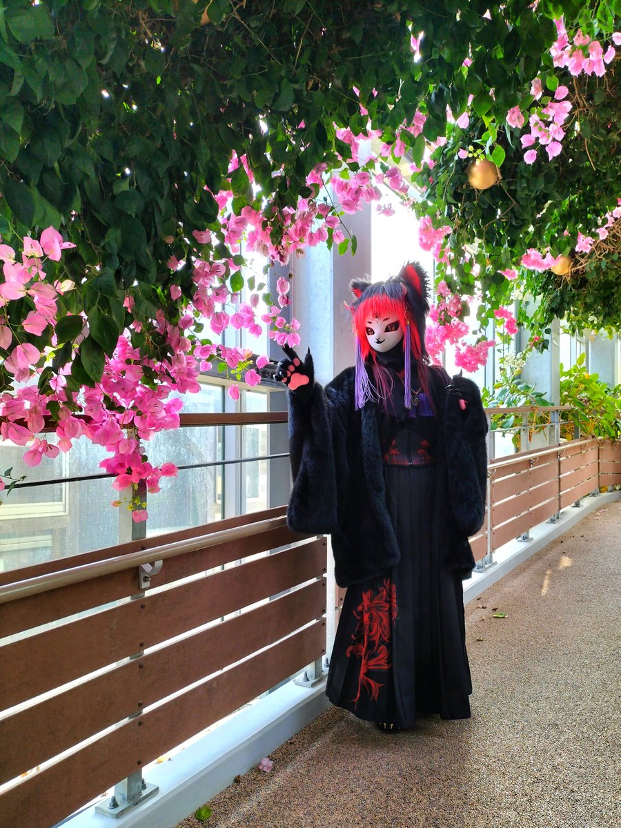 shigure_nyao's tweet image. ✼••┈┈┈••✼••┈┈┈••✼

華影の戯れ。

✼••┈┈┈••✼••┈┈┈••✼

撮影📸：@EEL9Z2UFJx92540
イベント🎪： #青島コスプレ万博

───────
#徒然時雨
#yokai
#創作妖怪
───────